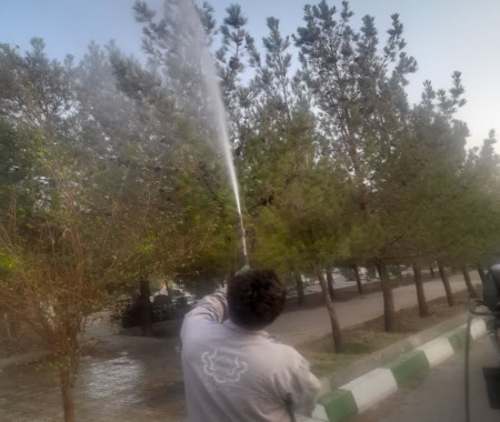 شستشوی ۱۶هزار اصله درخت آرامستان بهشت معصومه(س) 